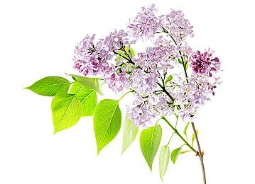 美少女游戏《蓝色反射：燦》开发者访谈 男主角登场的理由